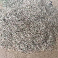 Load image into Gallery viewer, 100g 3mm Miniature Season Static Grass Powder Model Railway Accessories DIY Scenery Landscape Dollhouse Terrarium Diorama Craft Supplies