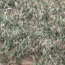 Load image into Gallery viewer, 100g 3mm Miniature Season Static Grass Powder Model Railway Accessories DIY Scenery Landscape Dollhouse Terrarium Diorama Craft Supplies