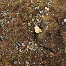 Load image into Gallery viewer, 50g Miniature Ground Grass Rock Particle Model DIY Military Sand Table Scene Layout HO Railway Landscape Terrarium Diorama Craft Supplies