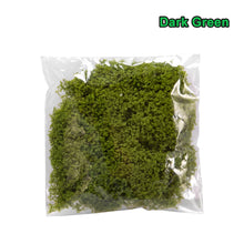 Load image into Gallery viewer, 20g Miniature Grass Vegetation Bush Cluster Vine Model Railway Accessories DIY Scenery Landscape Dollhouse Terrarium Diorama Craft Supplies