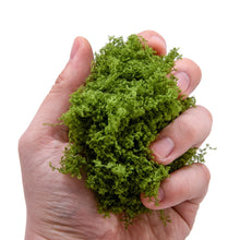 Load image into Gallery viewer, 20g Miniature Grass Vegetation Bush Cluster Vine Model Railway Accessories DIY Scenery Landscape Dollhouse Terrarium Diorama Craft Supplies