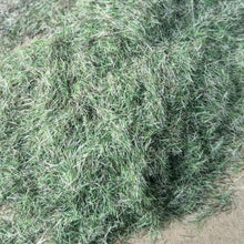 Load image into Gallery viewer, 100g 3mm Miniature Season Static Grass Powder Model Railway Accessories DIY Scenery Landscape Dollhouse Terrarium Diorama Craft Supplies