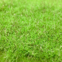 Load image into Gallery viewer, 100g 3mm Miniature Season Static Grass Powder Model Railway Accessories DIY Scenery Landscape Dollhouse Terrarium Diorama Craft Supplies