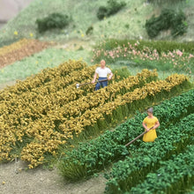 Load image into Gallery viewer, 7 pcs/box Miniature Farm Crop Grass Strip Model DIY Sand Table Train Railway Scenery Fairy Garden Landscape Terrarium Diorama Craft Supplies