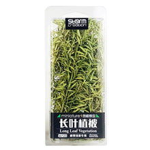 Load image into Gallery viewer, Miniature Long Leaf Vegetation Reed Grass Model Train Railway Accessories DIY Scenery Landscape Dollhouse Terrarium Diorama Craft Supplies