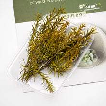 Load image into Gallery viewer, 10cm Miniature Long Leaves Reed Grass Model Train Railway Accessories DIY Scenery Landscape Dollhouse Terrarium Diorama Craft Supplies