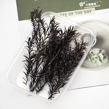 Load image into Gallery viewer, 10cm Miniature Long Leaves Reed Grass Model Train Railway Accessories DIY Scenery Landscape Dollhouse Terrarium Diorama Craft Supplies