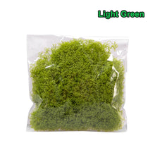 Load image into Gallery viewer, 20g Miniature Grass Vegetation Bush Cluster Vine Model Railway Accessories DIY Scenery Landscape Dollhouse Terrarium Diorama Craft Supplies