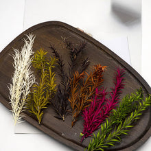 Load image into Gallery viewer, 10cm Miniature Long Leaves Reed Grass Model Train Railway Accessories DIY Scenery Landscape Dollhouse Terrarium Diorama Craft Supplies