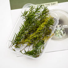 Load image into Gallery viewer, 10cm Miniature Long Leaves Reed Grass Model Train Railway Accessories DIY Scenery Landscape Dollhouse Terrarium Diorama Craft Supplies