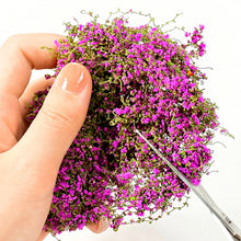 Load image into Gallery viewer, Miniature Cotton Thread Vine Leaves Model Train Railway Layout Accessories DIY Scenery Landscape Dollhouse Terrarium Diorama Craft Supplies