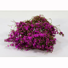 Load image into Gallery viewer, Miniature Cotton Thread Vine Leaves Model Train Railway Layout Accessories DIY Scenery Landscape Dollhouse Terrarium Diorama Craft Supplies