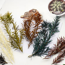 Load image into Gallery viewer, 10cm Miniature Long Leaves Reed Grass Model Train Railway Accessories DIY Scenery Landscape Dollhouse Terrarium Diorama Craft Supplies