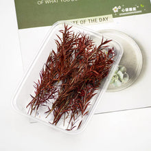 Load image into Gallery viewer, 10cm Miniature Long Leaves Reed Grass Model Train Railway Accessories DIY Scenery Landscape Dollhouse Terrarium Diorama Craft Supplies