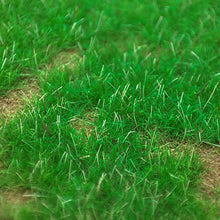 Load image into Gallery viewer, 100g 3mm Miniature Season Static Grass Powder Model Railway Accessories DIY Scenery Landscape Dollhouse Terrarium Diorama Craft Supplies