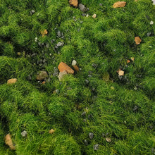 Load image into Gallery viewer, 50g Miniature Ground Grass Rock Particle Model DIY Military Sand Table Scene Layout HO Railway Landscape Terrarium Diorama Craft Supplies