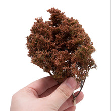 Load image into Gallery viewer, Miniature Model Tree Shrub for Railway, Diorama, and Fairy Garden