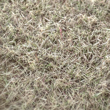 Load image into Gallery viewer, 100g 3mm Miniature Season Static Grass Powder Model Railway Accessories DIY Scenery Landscape Dollhouse Terrarium Diorama Craft Supplies