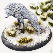 Load image into Gallery viewer, Miniature Snow Grass Cluster Tuft Models Railway Train Layout DIY Sand Table Dollhouse Garden Landscape Terrarium Diorama Craft Supplies