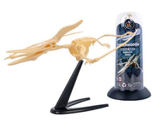 Load image into Gallery viewer, Dino Dinosaur Fossil Skeleton Figure Snap Model Kit DIY Toy Test Tube (6 styles to choose from)
