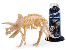 Load image into Gallery viewer, Dino Dinosaur Fossil Skeleton Figure Snap Model Kit DIY Toy Test Tube (6 styles to choose from)