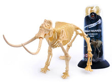 Load image into Gallery viewer, Dino Dinosaur Fossil Skeleton Figure Snap Model Kit DIY Toy Test Tube (6 styles to choose from)