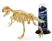 Load image into Gallery viewer, Dino Dinosaur Fossil Skeleton Figure Snap Model Kit DIY Toy Test Tube (6 styles to choose from)