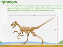 Load image into Gallery viewer, Dino Dinosaur Fossil Skeleton Figure Snap Model Kit DIY Toy Test Tube (6 styles to choose from)