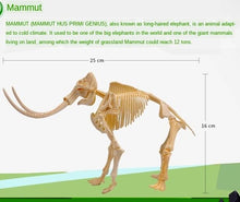 Load image into Gallery viewer, Dino Dinosaur Fossil Skeleton Figure Snap Model Kit DIY Toy Test Tube (6 styles to choose from)
