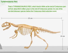 Load image into Gallery viewer, Dino Dinosaur Fossil Skeleton Figure Snap Model Kit DIY Toy Test Tube (6 styles to choose from)
