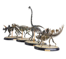 Load image into Gallery viewer, Dino Dinosaur Skeleton Fossil 4D Puzzle Model Kit Toy (6 styles to choose from)