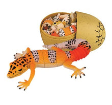 Load image into Gallery viewer, Set of 4 Reptile Animal Part II 4D 3D Puzzle Egg Model Toy Tortoise Gecko Giant Boa