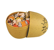 Load image into Gallery viewer, Set of 4 Reptile Animal Part II 4D 3D Puzzle Egg Model Toy Tortoise Gecko Giant Boa