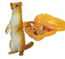 Load image into Gallery viewer, Set of 4 Cute Animal 4D 3D Puzzle Realistic Model DIY Educational Toy