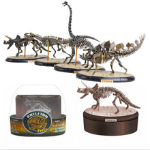 Load image into Gallery viewer, Dino Dinosaur Skeleton Fossil 4D Puzzle Model Kit Toy (6 styles to choose from)