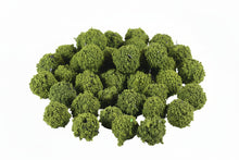 Load image into Gallery viewer, 40pcs Miniature Bushes Green for Diorama Scenery, Model Railway Layout, Fairy Garden, Terrain, Craft Supplies
