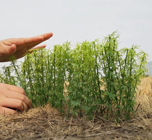 Load image into Gallery viewer, 20 pcs 9-13cm Mixed Miniature Bamboo Tree Models Train Railway Accessories Forest Fairy Garden Landscape Terrarium Diorama Craft Supplies