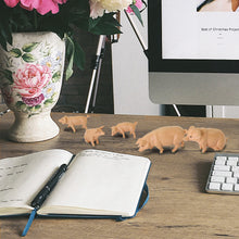 Load image into Gallery viewer, 15 pcs Miniature Pig Farm Animal 1:25 Figures G Scale Models Toys Landscape Garden Scenery Layout Scene Accessories Diorama Supplies