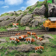 Load image into Gallery viewer, 36pcs Miniature Brown Dairy Cow Figures 1:87 Scale, Model Train Scenery Diorama Supplies