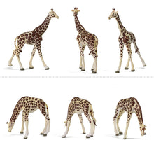 Load image into Gallery viewer, 8pcs Miniature Giraffe Figures 1:87 Scale Animal Model Railway Diorama Supplies
