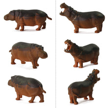 Load image into Gallery viewer, 12pcs Miniature Hippo Figures, 1:87 HO Scale Model Railway Scenery, Diorama Animals