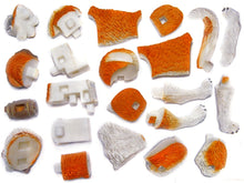 Load image into Gallery viewer, Set of 4 Dogs Animal Part II 4D 3D Puzzle Model DIY Educational Toy