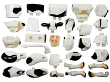 Load image into Gallery viewer, Set of 4 Farm Animal Part I 4D 3D Puzzle Model DIY Educational Toy