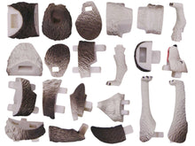 Load image into Gallery viewer, Set of 4 North American Animals 4D 3D Puzzle Egg Realistic Model DIY Educational Toy