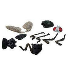 Load image into Gallery viewer, Set of 4 Disgusting Bug Animal 4D 3D Puzzle Realistic Model DIY Educational Toy