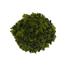 Load image into Gallery viewer, 40 pcs Miniature Green Bush Trees Models Train Railway Accessories Forest Fairy Garden Landscape Terrarium Diorama Craft Supplies