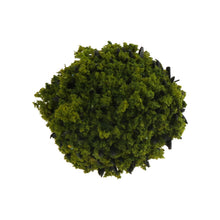 Load image into Gallery viewer, 40pcs Miniature Bushes Green for Diorama Scenery, Model Railway Layout, Fairy Garden, Terrain, Craft Supplies