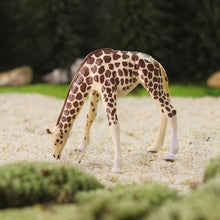Load image into Gallery viewer, 8pcs Miniature Giraffe Figures 1:87 Scale Animal Model Railway Diorama Supplies