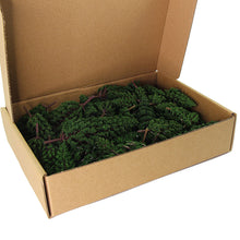 Load image into Gallery viewer, 52 pcs Miniature Green Pine Trees O HO TT N Scale Models Train Railway Accessories Forest Garden Landscape Diorama Craft Supplies