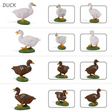 Load image into Gallery viewer, 14 pcs Miniature Duck Goose Farm Animal 1:43 Figures O Scale Models Toys Landscape Garden Scenery Layout Scene Accessories Diorama Supplies